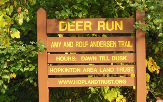 deer run